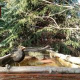 photo 2023-03-13 15-23-42