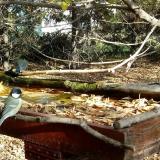 photo 2022-10-19 14-20-55 szencinegek