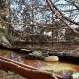 photo 2022-02-15 11-31-21