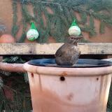 photo 2024-01-26 08-42-29