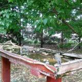 photo 2022-05-11 15-00-28