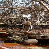 photo 2022-02-17 10-23-42 gerle