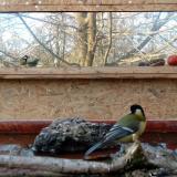 photo 2022-02-03 14-52-40