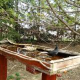 photo 2022-04-08 12-37-30