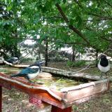 photo 2022-05-23 15-11-37