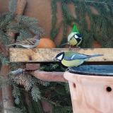 photo 2024-01-21 09-22-13