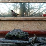 photo 2022-02-13 07-12-44