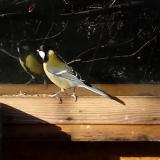 photo 2023-01-02 09-42-50