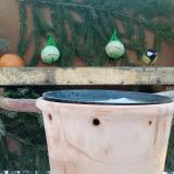 photo 2024-01-21 08-09-24