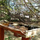 photo 2022-04-06 12-36-20