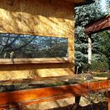 photo 2022-10-26 11-03-23