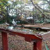 photo 2022-10-17 16-47-03