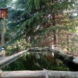 photo 2023-04-20 08-59-14