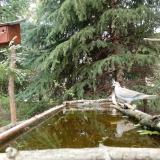 photo 2023-04-06 11-50-06