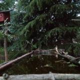 photo 2023-04-06 19-15-28