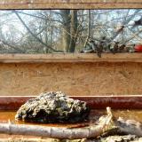 photo 2022-02-13 14-00-07