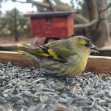 404944253 6782319188551689 2801742665076711944 n