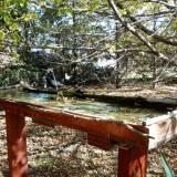 photo 2022-10-17 11-44-50