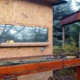 photo 2022-11-13 08-10-26