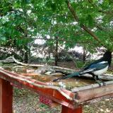 photo 2022-05-25 14-39-28