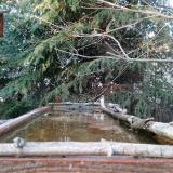 photo 2023-03-18 16-54-58