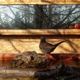 photo 2022-02-13 09-36-51