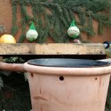 photo 2024-01-09 11-59-19