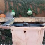 photo 2024-01-22 08-15-40