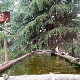 photo 2023-04-10 13-58-46