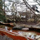 photo 2022-02-18 07-29-06