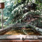 photo 2023-08-31 16-03-01