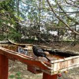 photo 2022-04-06 12-37-05