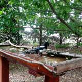 photo 2022-05-30 12-42-24