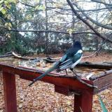 photo 2022-10-23 07-49-17