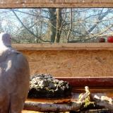 photo 2022-02-10 14-14-26