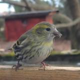 405578275 1039928600592688 7720195210582420261 n