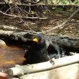 photo 2022-04-06 12-36-20 rigo