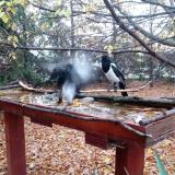 photo 2022-10-23 07-41-55