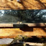 photo 2023-12-04 09-36-24