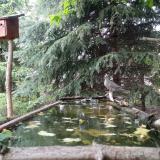 photo 2023-05-03 16-21-33