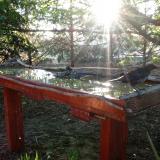 photo 2022-07-18 06-01-55