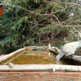 photo 2023-03-20 10-14-52