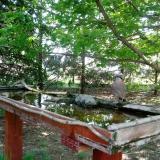 photo 2022-04-30 10-40-24