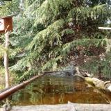 photo 2023-04-01 16-59-49