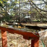 photo 2022-10-22 10-45-54