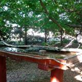 photo 2022-06-03 16-57-51