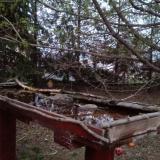 photo 2022-04-04 19-26-28