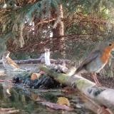 photo 2023-09-10 06-48-07