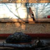 photo 2022-02-10 07-35-11