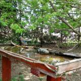 photo 2022-04-21 11-53-11